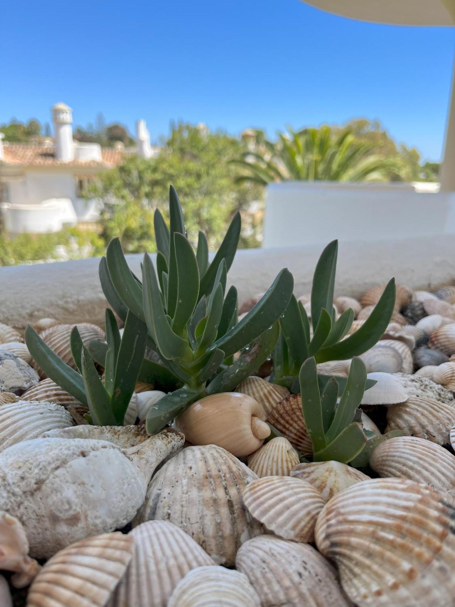 Casadeleon - Costadelsol Vacations & Remote Work Sitio de Calahonda