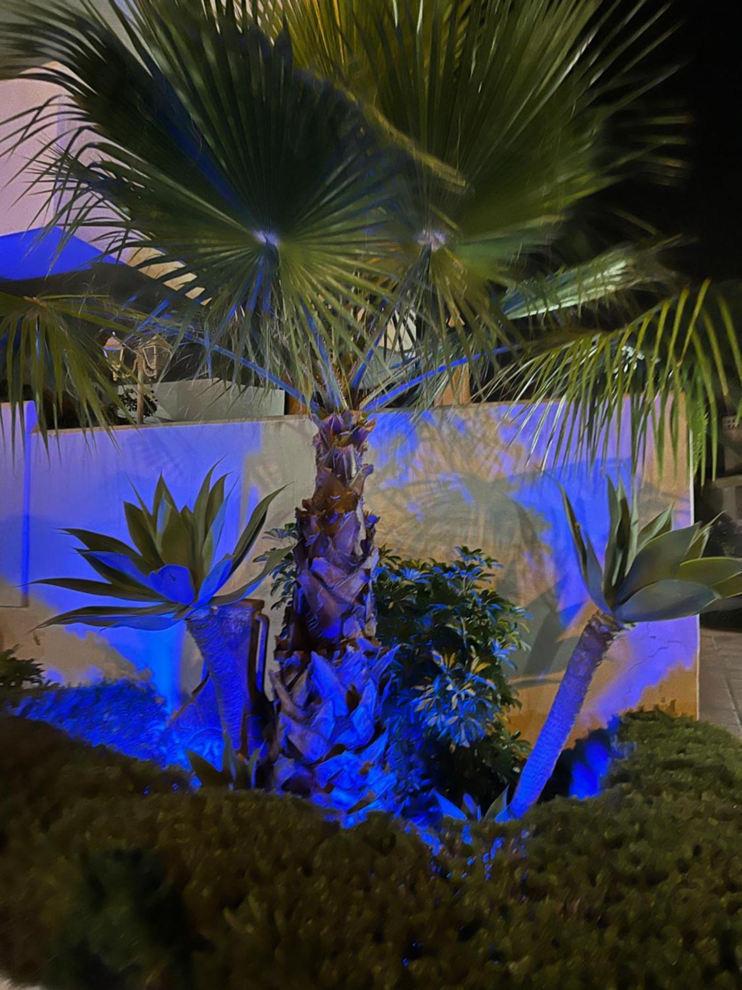 Casadeleon - Costadelsol Vacations & Remote Work Apartment