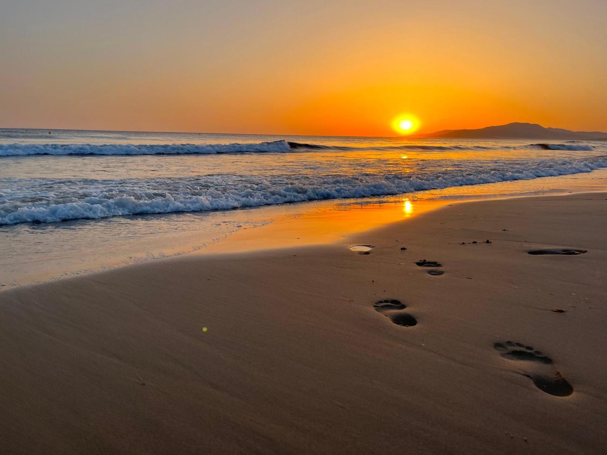 Apartment Casadeleon - Costadelsol Vacations & Remote Work *